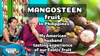 MANGOSTEEN FRUIT EATING EXPERIENCE OF MY AMERICAN HUSBAND