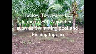 Farm Lot For Sale in Toril Davao City