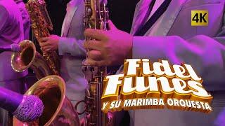 Fidel Funes y su Marimba Orquesta  -  El Sabor Continua 4K