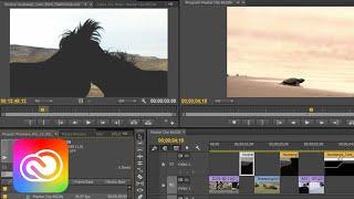 Create a DCP | Adobe Creative Cloud