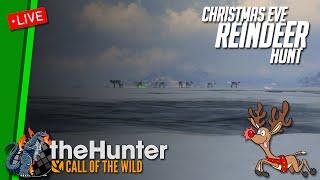  LIVE Reindeer Hunt on Medved-Taiga for Christmas Eve!