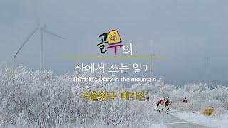 [ ASMR 4K ] 태기산 / Mt.Taegisan - 골무의 산에서 쓰는 일기 Thimble's Diary in the mountain