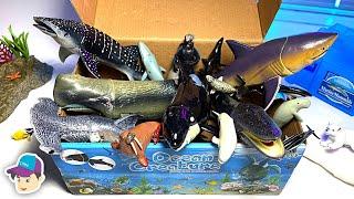 Box of New Sea Animals - Beluga Whale Shark Dolphin Otter Walrus Sea Lion Dugong Manatee Seal Polar