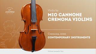 Violin by Mio Cannone Cremona Violins, Cremona, 2022