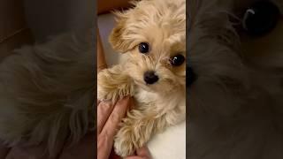 하나! 둘! 셋! 얍!