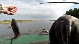 Рыбалка на Карася. Озеро Устюг, Красноярский край, 28.05.2023 г.