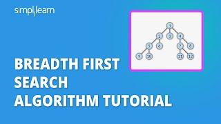 BFS Algorithm | Breadth First Search Algorithm Tutorial | Data Structures And Algorithm |Simplilearn