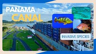 How the Panama Canal Expansion is Threatening Panama’s Ecosystem and Water Supply