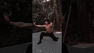 HORSE STANCE SHAOLIN KUNG FU DEMONSTRATES || BODY STRENGTH EXERCISE #kungfu #fitness