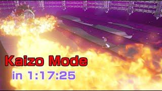 [World Record] Super Mario Odyssey Kaizo Mode in 1:17:25