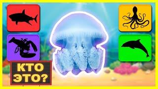 Что это за морское животное? ️ Морская косатка, Медуза | Учим названия морских животных для детей