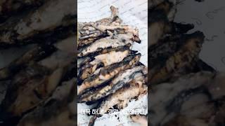 [코리아 Cooking 투어] 기장 멸치축제 후 찾은 찐 현지 맛집?! '실비집' 리얼 후기
