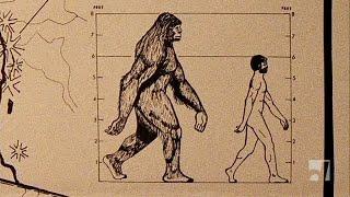 Bigfoot Reflections (2007) | Documentary