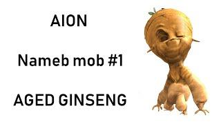 Named mob #1 - Aged Ginseng (lvl 40 best Magic boost hat)