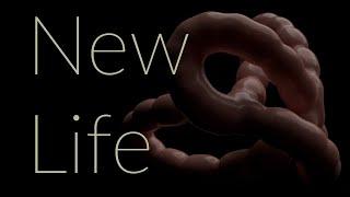 New Life: Blender Organic Animation Nodes