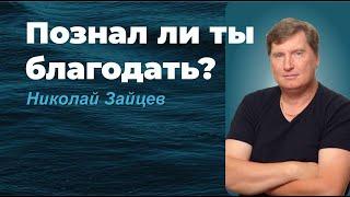 ПОЗНАЛ ЛИ ТЫ БЛАГОДАТЬ? /НИКОЛАЙ ЗАЙЦЕВ