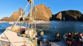 Let's go Crabbing with @tommythefishmonger  and his film crew! #fishtough 