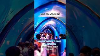 Underwater Tunnel Aquarium in Delhi | Underwater fish tunnel in dwarka sector 11 Delhi #trending