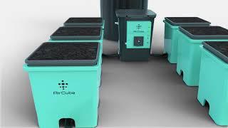 Aircube Active Oxygen Ebb & Flow Hydroponic System