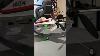Sights & Sounds of a 3D RC Plane! 