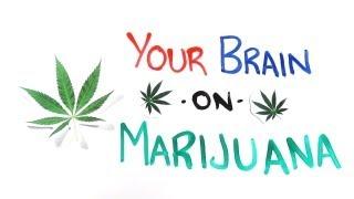 Your Brain on Drugs: Marijuana