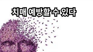 알츠하이머 치매 예방을 위한 모든것