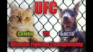 Cat VS Dog, Баста VS Семён, Кот VS Собака