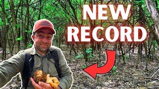 I Found a NEW RECORD! Gigantic Mushroom Foraging in the Remote Woods