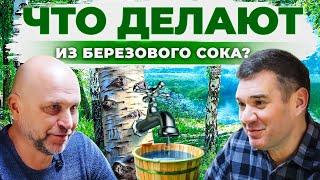 Как собирать березовый сок? Почему его нужно пить каждый день? Бизнес на березе. Андрей Даниленко