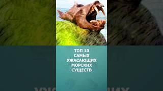 Топ 10 самых ужасающих морских существ #морскиесущества #топ10 #комарик #море #шортс #shorts