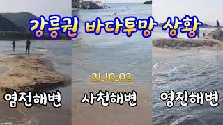 염전해변 사천해변 영진해변 바다 투망 실시간정보 cast net .cast net fishing