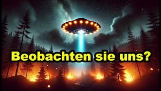 Orbs, mysteriöser Nebel, Brände in L.A. und Himmelsposaunen: Was steckt hinter den Phänomenen?