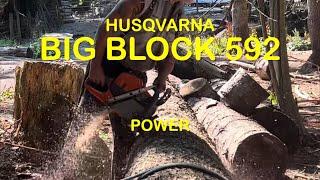 How I "Break in" a new Husqvarna 592xp chainsaw