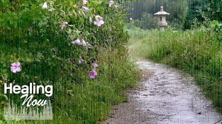 Healing & Relaxation with Rain Sounds on a Quiet and Small Country Road - White Noise ASMR of Rain