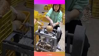 Relaxing Time  - TJ Viral - SV117