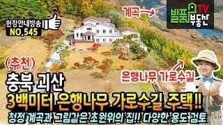 (추천) 3백미터 은행나무 가로수길이 있는 주택!! 충북 괴산 전원주택 매매 맑은 천과 그림같은 초원 위의 집~ 다양한 용도 검토 괴산부동산 - 발품부동산TV