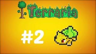 Terraria - Karma is Messed Up