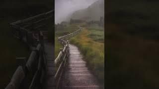 #빗소리asmr 최고의 빗소리