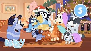 Can YOU spot the Secret Christmas Long Dogs?  | Bluey