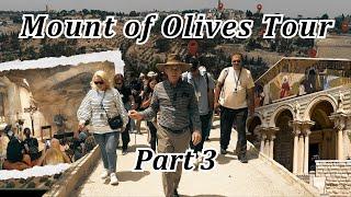 Mount of Olives Tour Part 3! Garden of Gethsemane, Cave of Gethsemane, Tomb of Mary, Jerusalem!