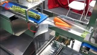 ECCOPAC — Vegetable Packing Machine, Flow Wrap Machine, Flow Pack Machine, Horizontal Packaging Mach