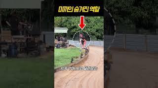 경주용 미끼의 숨겨진 역할