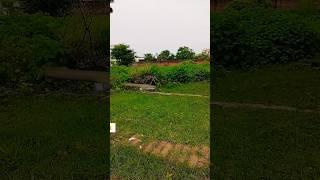 ichchadhari nag nagin vfx magic video #vfx#shorts#nagnagin