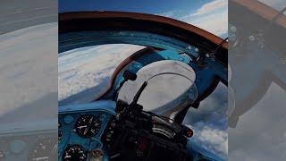 DCS: Mig-21 - Falling star | Watch DCS #shorts