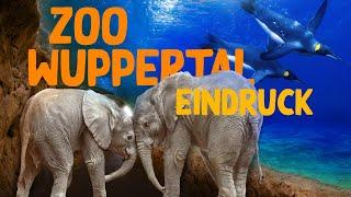 Der grüne Zoo Wuppertal | Zoo-Eindruck