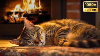 Relaxing with Purring Cat, Crackling Fireplace  Deep Sleep in Cozy Ambience, Stress Relief