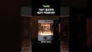 안전한 가습기를 찾는다면?🫧 LG전자 출신 전문가가 만든 가열식 가습기로 세균 걱정없이 쓰세요!