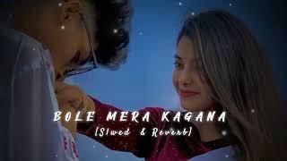 Bole Mora Kangna |Slowed-Reverb | Alka Yagnik Akshay Kumar | lofi x 190