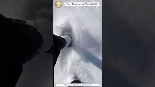 ScienceMan Moment of Zen 0488 #peaceful #winter #nature #trailrunning #forest #trees #asmr