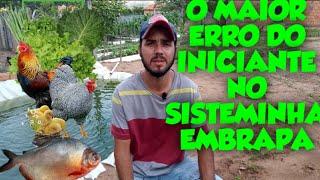 O PRIMEIRO ERRO que Todo Iniciante Comete ao Começar o SISTEMINHA EMBRAPA